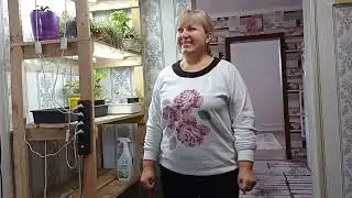 БАННЫЙ ДЕНЬ у цветов/ НАКАЗ мужа/ приехала ДАША