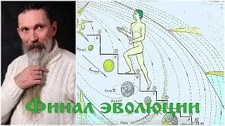 Трехлебов А.В. Финал эволюции