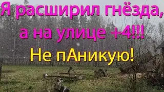 24.04.2021 а на улице СНЕГ и +4! Расширение пчёл - плохая идея?! 