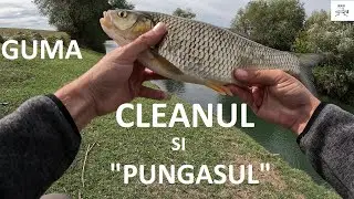 🎣 GUMA, CLEANUL și 