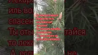 любовь💘 настроение🙏💕