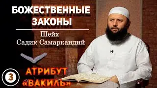 3-Урок. Божественные Законы / Атрибут 
