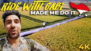 Escape to Ubud Bali STUNNING Rice Fields - A Hidden Paradise Unveiled! #ubud #bali