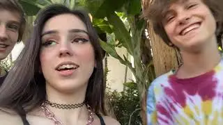 O Vini gosta da mel ?