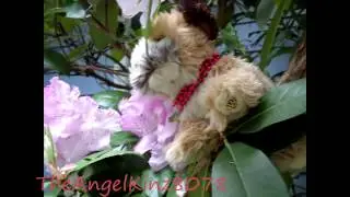 Clara's Photo Shoot
