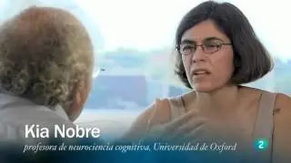 Redes - El cerebro construye la realidad