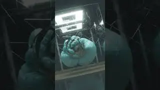 Vellum Ballon | Houdini
