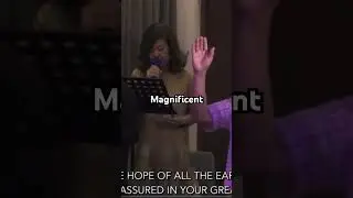 Magnificent