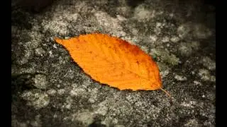 Mellow/Liquid/Melodic DNB Mix (october 2012)