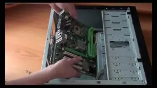 за 5000 рублей