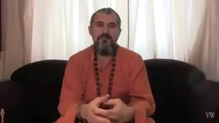 Сатсанг Свами Вишнудевананда Гири, 25.03.2016