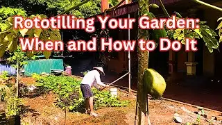 Rototilling Your Garden When and How to Do It - Section 1