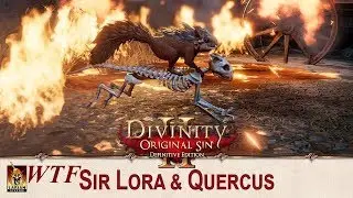 Divinity Original Sin 2: The curious case of the Sir Lora