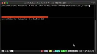 Deno echo server