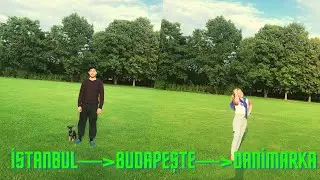 NEDEN BUDAPEŞTE'DEN DANİMARKA'YA TAŞINDIK ? MACARİSTAN'DA YAŞAMAK MUTLU ETMEDİ Mİ ?