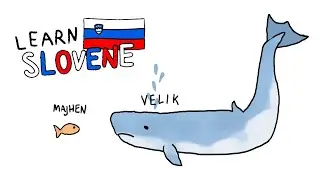 Learn Slovene: Adjectives