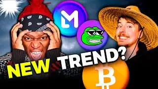 The Upcoming Crypto Trend that will 100x in 2024? | SocialFi Explained