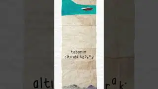 Konuşan Hayvanlar | #kitaptanıtımı #iyikikitaplarvar #kitap