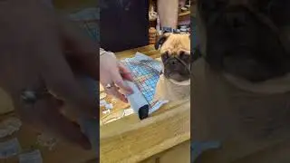 Китайская настольная игра в русском стиле!🏮🏮🏮🏮