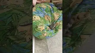 7 сентября 2023 г.