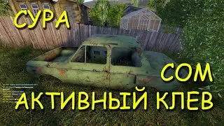 Russian fishing 4. pp4. Sura. Catfish. Active bite.