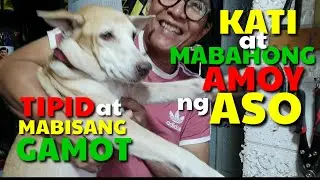 ANO MABISANG GAMOT SA KATI AT  MABAHONG AMOY NG ASO I DA HUSTLER'S TV
