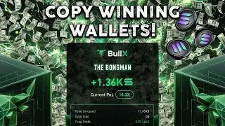 BullX NEO | How To Track WINNING Wallets
