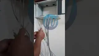 Network cable managment and 6U Server rack Installation for office setup Cat6 A cable Dlink,TpLink