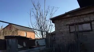 Полицейская авиация