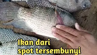Mancing di spot tersembunyi... Mantappp ❗#fishing #mancingmania #joranmelengkung
