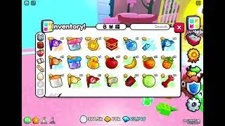 I think I accidentally broke Pet Sim 99