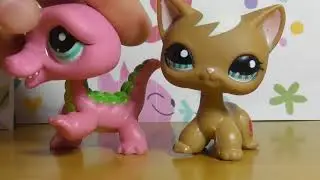 LPS: Встречка в Днепре