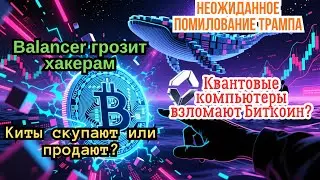 Взлом Биткоина | Последнее предупреждение хакерам | Чанпэн Чжао удивлен | Биткоин-киты распродают