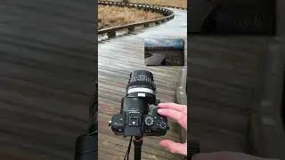 Creating a Stitched Panorama with a Bronica ETR Medium Format Lens #photography #panorama