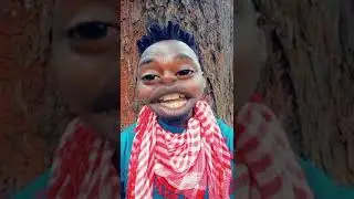 SUMU KWONDAP JITO WEE WEI🤣🤣🤣🤣OLEE MOSHENE