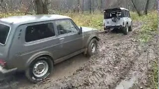 Битва сафарей!!!