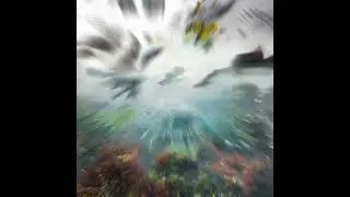 A Final Call