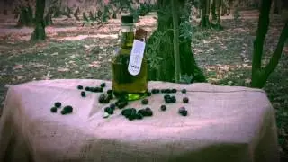 Zeytin Tasarım - Konsept Ürün Çekimi