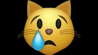 KEDİLER İFŞA