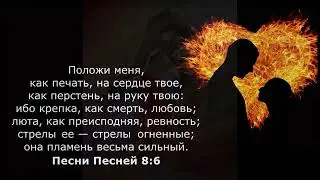 Песнь Песней  Глава 5
