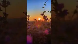 9 возможностей что бы стать  счастливее  #таро #психология #таролог