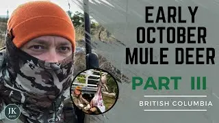 Solo Mule Deer Hunt - Day 3 | BC Region 3