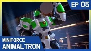 [Miniforce Animaltron] 🦁Ep.5 Catfish King, Zapping Here and There!