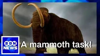 Scientists are Aiming to Resurrect the Woolly mammoth | #SBNNews