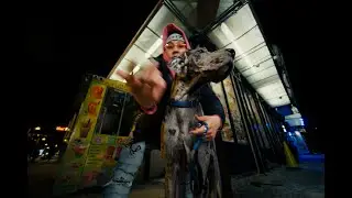 JOSAE- PAIN (Official Music Video)