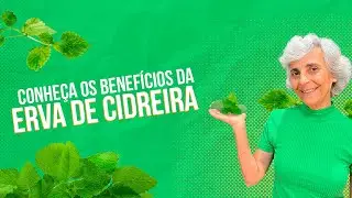 Lemon Balm: Discover Its Benefits and How to Use It in Your Daily Life!