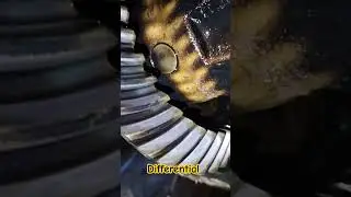 Differential #shorts #short #youtubeshorts #gaming #automobile #game #differential #travel #sensor