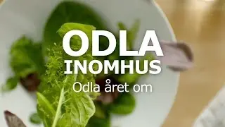 ODLA INOMHUS – Odla året om