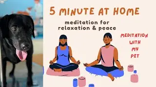 क्या ऐसी Meditation देखीं है ??? 