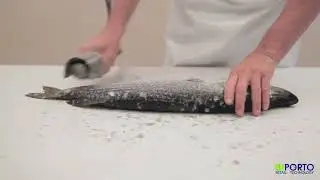 Escamador de Peixe Elétrico